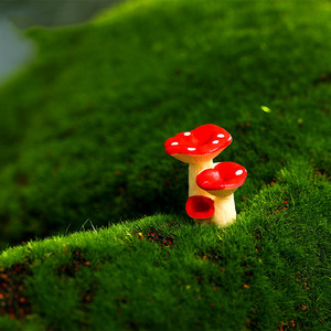 多肉花盆装饰红色小蘑菇园艺造景苔藓微景观迷你小摆件花盆杂货