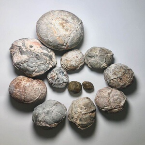 砚山玛瑙原石毛料玉髓水胆冰透用于挂件手镯吊坠雕刻摆件天然玉石