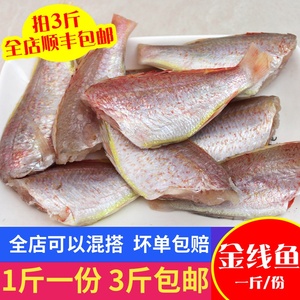 去内脏去头新鲜金线鱼金丝鱼金陵鱼冷冻新鲜海鲜红衫鱼水产小杂鱼