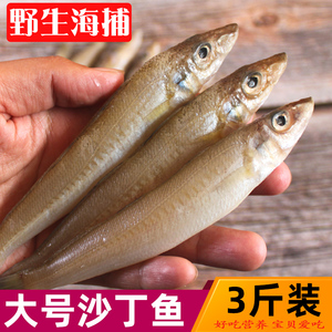 沙丁鱼宝宝辅食沙尖鱼鲜活新鲜小海鲜海鱼鲜鱼杂鱼冷冻水产尖梭鱼