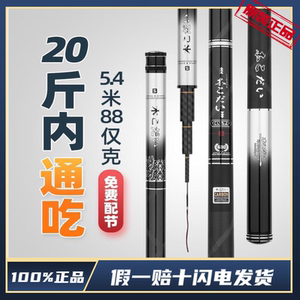 日本东丽碳素超轻台钓竿超硬湖库休闲轻量大物竿钓鱼竿手杆渔具