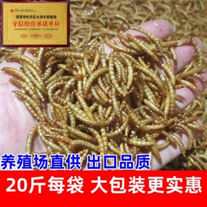 黄粉虫干面包虫干蛋白仓鼠粮食龟粮鱼食鸟食宠物饲料宠物零食散装