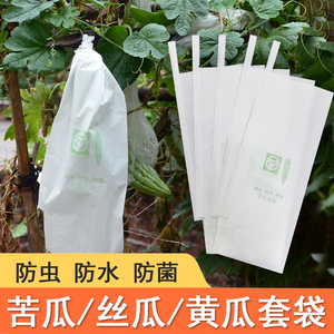 丝瓜黄瓜青瓜苦瓜套袋专用袋防虫袋子保护套纸袋防水瓜果蔬菜水果