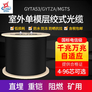 辉宏时代GYTA53/GYTZA/MGTSV室外单模多模光缆层绞式重铠光缆阻燃矿用直埋架空光纤线4 6 8 12芯24芯48芯国标