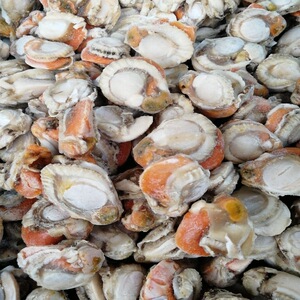 3000g大扇贝肉新鲜毛贝冷冻贝类海鲜水产盐城滨海射阳响水特产