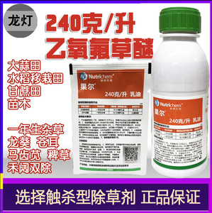 果尔农药240克/升乙氧氟草醚乳油迷苗圃大蒜生姜水稻大葱除草剂