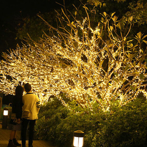 led小彩灯闪灯串灯满天星挂树上的装饰圣诞星星灯户外防水树灯串