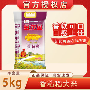 金龙鱼 香粘稻 5kg _ 金龙鱼香粘稻大米5kg/袋大米10斤金龙鱼家庭储备