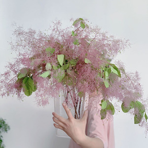 自带干冰效果仙气都要溢出来雾中情人鲜花云南直发插花水养花束艺