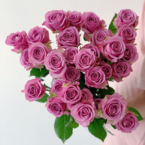 冷美人玫瑰花束