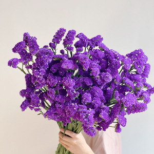 猴子爬树158淘宝满天星轻奢干花花束勿忘我天然干花草摆件装饰北欧