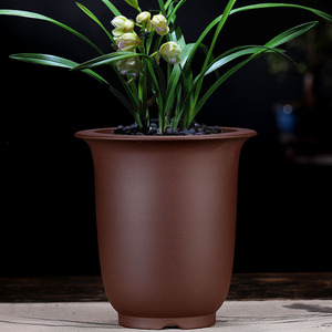 金钟兰花紫砂盆