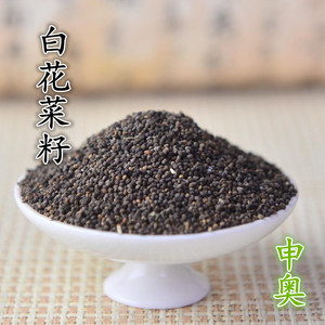 中药材白花菜子 白花菜籽 臭花菜子 正品 50克