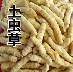 中药材 土虫草 草石蚕 宝塔菜 50克  实体店 专卖