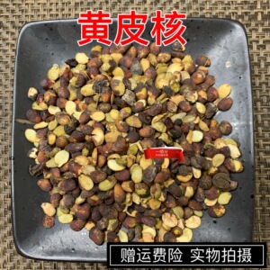 黄皮果核 中药材 黄皮核 山黄皮核 鸡皮果 黄皮子籽 新货500g包邮