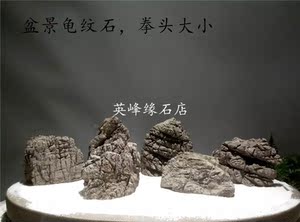 一件100斤盆景龟纹石通货广东英德石天然摆件观赏鱼池附树石假山