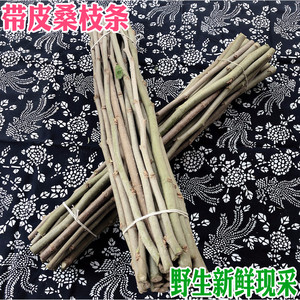 野生新鲜带皮桑树枝条桑树棍老桑条桑树杆枝桑枝下单现采包邮