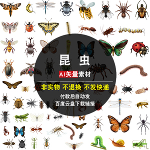 昆虫AI矢量素材卡通彩绘虫子蝴蝶蜻蜓大自然动物生物插画高清图片