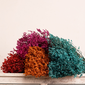 永生花水晶草 彩色染色水晶草情人草干花花束 水晶花家居装饰花材