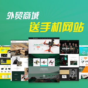 贸易B2C商城网站源码海外购物网站制作中英文跨境电商独立站建设