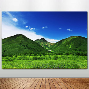 意境风景装饰画青山绿树草地简约卧室客厅沙发背景墙壁画贴画自粘
