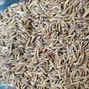 梗米 红香米 地灵胭脂米种子 红稻米红软大米 元阳老品种红米种子