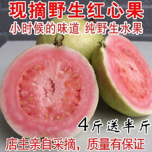 攀枝花红心果