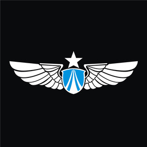 汽车装饰贴纸反光防雨水军事标志个性创意车身车窗09043中国空军