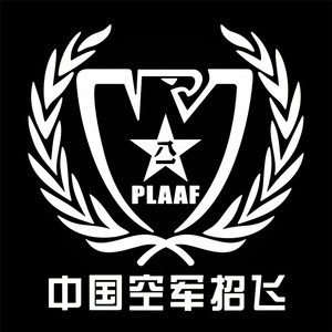 防水反光汽车贴纸拉花五角星八一军人航空飞行员a178中国空军招飞