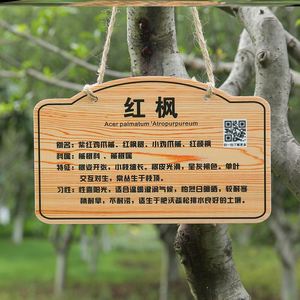 植树节挂牌学校树木花草园林绿化植物信息树木介绍定制标牌编号牌