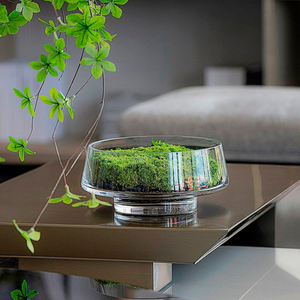 现代透明水晶玻璃花瓶花器永生绿植盆景餐桌洽谈桌卧室装饰品摆件