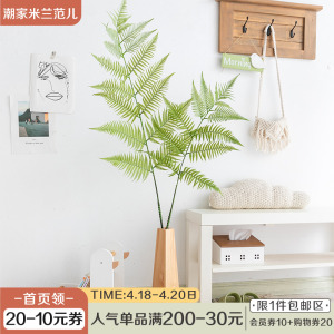 阿楹 仿真金丝猴蕨植物室内高落地假绿植诧寂风盆栽造景玄关摆件