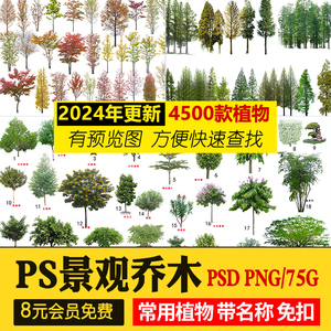 园林景观乔木ps素材库PNG免抠常用树木植物效果图后期PSD常绿小乔