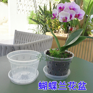 蝴蝶兰侧孔专用花盆透明塑料花盆简约石斛卡特兰兜兰洋兰绿植透气