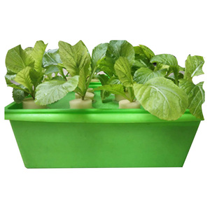 小型水培箱无土栽培蔬菜设备阳台种菜盆栽带盖花盆室内种植杯装饰