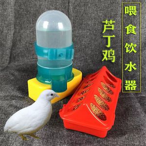 芦丁鸡养殖 喂食器 防撒 食盒  饮水 器小鸡鹌鹑自动喂食