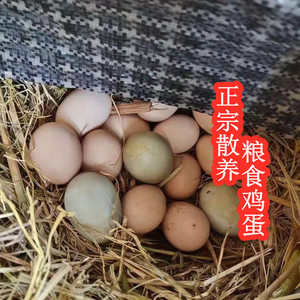 湖南散养粮食绿壳蛋鸡蛋 溆浦正宗农村新鲜土鸡蛋农家 破包赔30枚