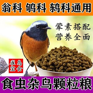 嗜虫鸟食饲料北红鸟食白头翁鸟食长尾四喜鸟食饲料小黑白橙腹叶鹎