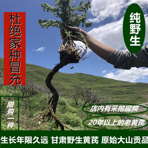 【黄芷黄芪】黄芷黄芪品牌,价格 - 阿里巴巴