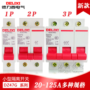 德力西DZ47G小型隔离开关模数化总开断路器1P2P3P4P 20-125A CDB5