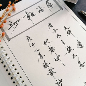 钢笔硬笔临摹字帖草书行书自由手写体野生体江湖体