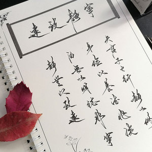 野生体江湖体成人字帖潇洒飘逸现代行书连体钢笔硬笔单面汉字练习