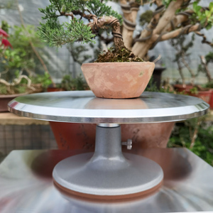 盆景制作转盘造型