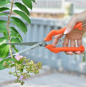 剪花椒神器摘花椒剪刀专用枸杞采摘工具果蔬剪刀花剪水花卉修剪