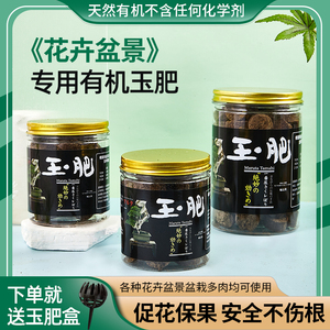 玉肥盆景松柏金弹子老鸦柿花卉绿植专用长效有机颗粒缓释专用肥料