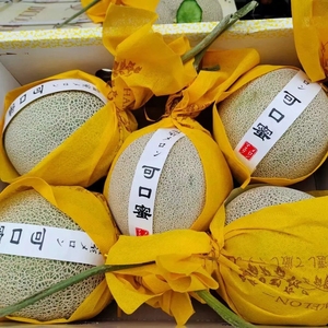 日本品种网纹瓜静冈网纹蜜瓜 可口蜜甜瓜哈密瓜夕张玫龙网纹瓜5个