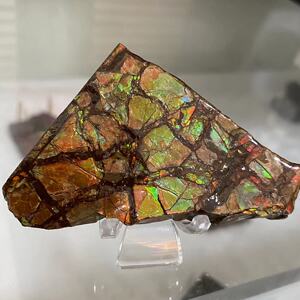 碧金彩 天然加拿大斑彩宝石 斑彩原石 l&os-lnb-21696,21638