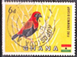 加纳1959年发行《非洲红鸟》信销票1枚.jpg