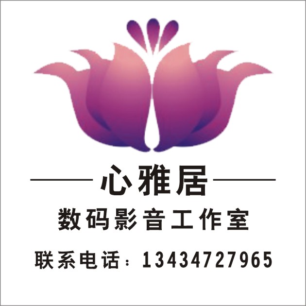 包邮圣贤教育全球同学网视频播经卡 32g 陈大惠 传统文化合集