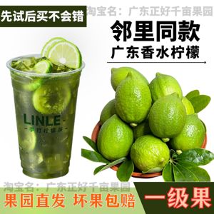 广东香水柠檬无籽新鲜奶茶店专用柠檬一级果山地果